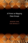 A Primer on Mapping Class Groups (PMS-49) - Book