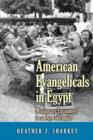 American Evangelicals in Egypt : Missionary Encounters in an Age of Empire - Book