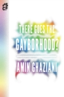 There Goes the Gayborhood? - Book