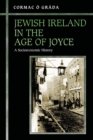 Jewish Ireland in the Age of Joyce : A Socioeconomic History - Book