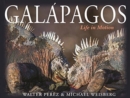 Galapagos : Life in Motion - Book