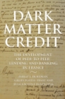 Dark Matter Credit : The Development of Peer-to-Peer Lending and Banking in France - Book