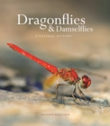 Dragonflies and Damselflies : A Natural History - eBook