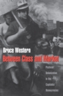 Between Class and Market : Postwar Unionization in the Capitalist Democracies - eBook