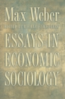 Essays in Economic Sociology - eBook