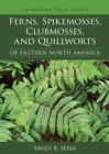 Ferns, Spikemosses, Clubmosses, and Quillworts of Eastern North America - Book