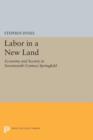 Labor in a New Land : Economy and Society in Seventeenth-Century Springfield - Book