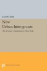 New Urban Immigrants : The Korean Community in New York - Book