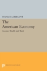 The American Economy : Income, Wealth and Want - Book