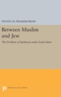 Between Muslim and Jew : The Problem of Symbiosis under Early Islam - Book