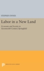 Labor in a New Land : Economy and Society in Seventeenth-Century Springfield - Book