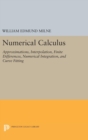 Numerical Calculus - Book