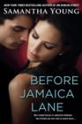 Before Jamaica Lane - eBook
