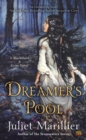 Dreamer's Pool - eBook