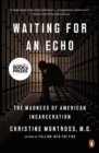 Waiting for an Echo - eBook
