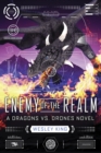 Enemy of the Realm - eBook