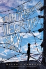 Uninterrupted View of the Sky - eBook