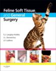 Feline Soft Tissue and General Surgery - Book