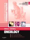Saunders Solutions in Veterinary Practice: Small Animal Oncology - eBook