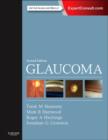 Glaucoma : 2-Volume Set - Book
