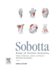 Sobotta Tables of Muscles, Joints and Nerves, English : Tables to 15th ed. of the Sobotta Atlas - Book