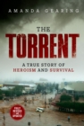 The Torrent - eBook