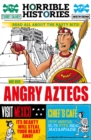 Angry Aztecs - Book