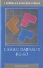 Casglu Darnau'r Jig-so : Theori Beirniadaeth R.M. (Bobi) Jones - Book