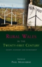 Rural Wales in the Twenty-First Century : Society, Economy and Environment - Book