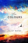 The Colours : a captivating, epic historical drama about family, love and loss - Book