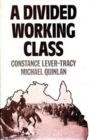 Divided Working Class : Ethnic Segmentation and Industrial Conflict in Australia - Book