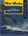 Blue Whales - Book
