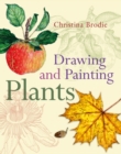 Drawing and Painting Plants - Book