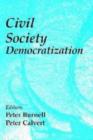Civil Society in Democratization - Book