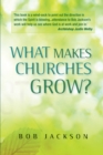 What Makes Churches Grow? : Vision and practice in effective mission - eBook