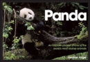 Panda : An Intimate Portrait Of One Of The World's Most Elusive Characters - eBook
