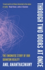 Through Two Doors at Once : The Enigmatic Story of our Quantum Reality - Book