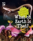 What on Earth Is That? - eBook