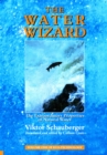 The Water Wizard - The Extraordinary Properties of Natural Water - eBook