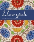 Llewyrch - Oes Aur Cerameg yng Nghymru - Book