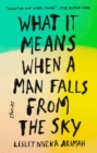 What It Means When a Man Falls from the Sky - eBook
