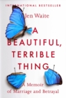 A Beautiful, Terrible Thing - Book