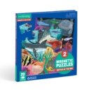Depths of the Seas Magnetic Puzzle - Book