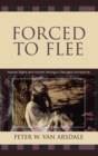 Forced to Flee : Human Rights and Human Wrongs in Refugee Homelands - Book