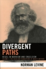 Divergent Paths : Hegel in Marxism and Engelsism - eBook
