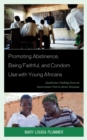 Promoting Abstinence, Being Faithful, and Condom Use with Young Africans : Qualitative Findings from an Intervention Trial in Rural Tanzania - eBook