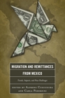 Migration and Remittances from Mexico : Trends, Impacts, and New Challenges - Book
