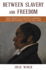 Between Slavery and Freedom : Free People of Color in America From Settlement to the Civil War - eBook