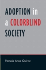 Adoption in a Color-Blind Society - Book