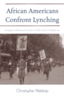 African Americans Confront Lynching : Strategies of Resistance from the Civil War to the Civil Rights Era - eBook